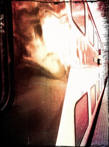 IMG_20141025_153258_Jean_Morning_Pint