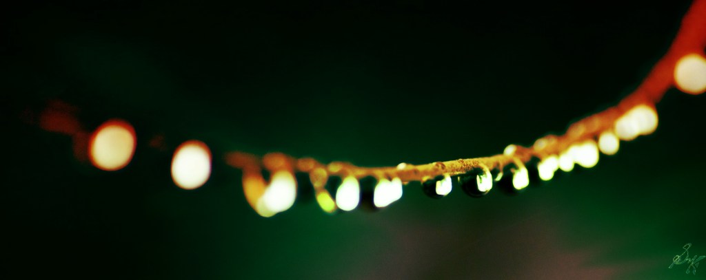 DSC_9813_Ivan_Kryptonite