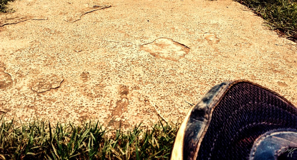 IMG_20150809_122737-1