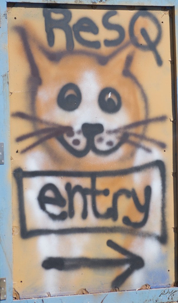Door to ResQ charitable foundation with a cat spray paint