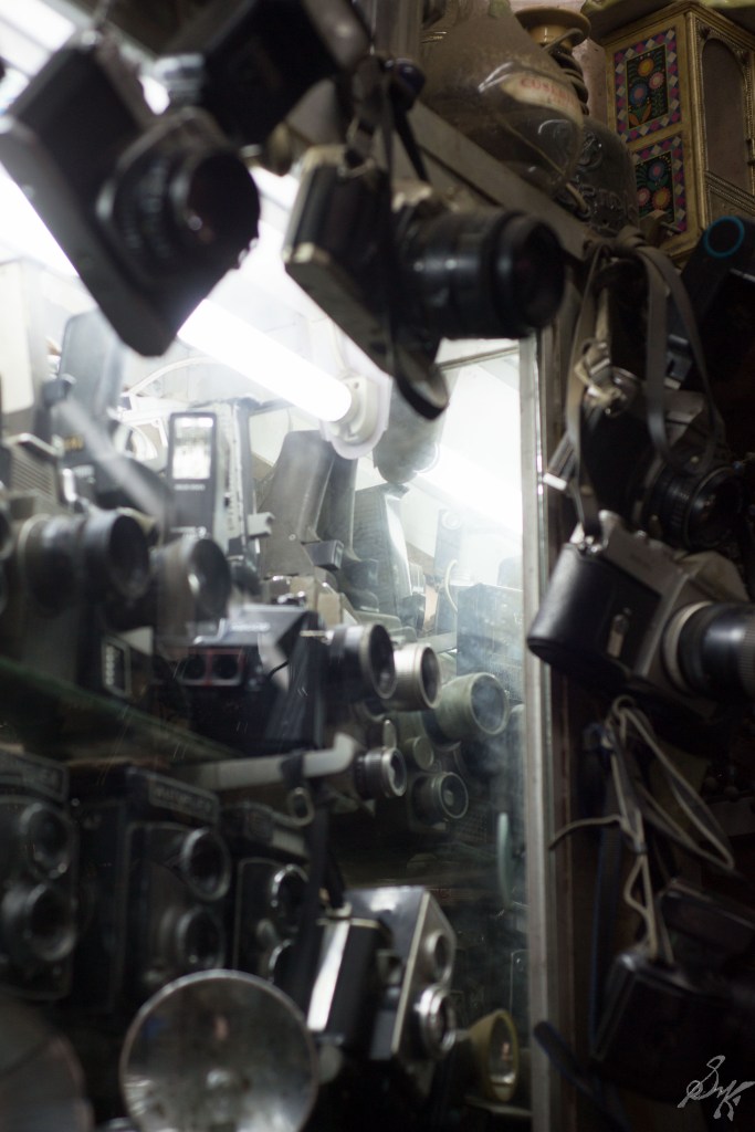 Cameras lined on the shelf inside a shop