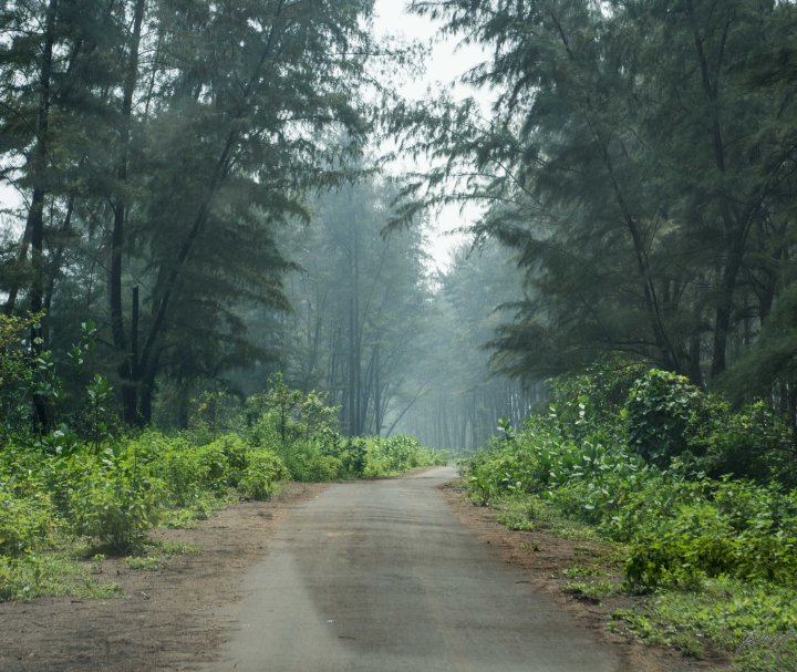The beach road to Diveagar Beach