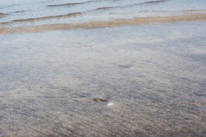 Clear Water at the Diveagar Beach
