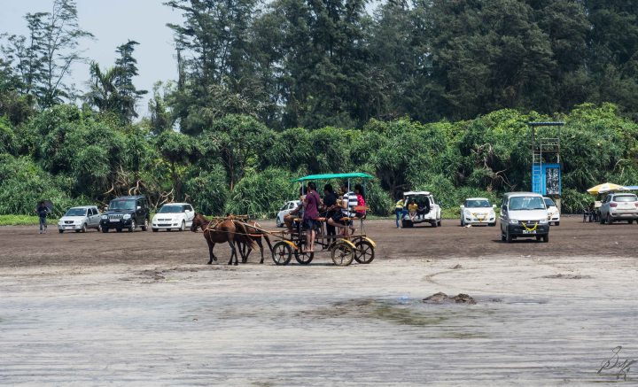 Horse drawn Tongas on DIveagar Beach