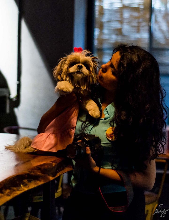 Shih Tzu, Cute, Fluffy, Owner