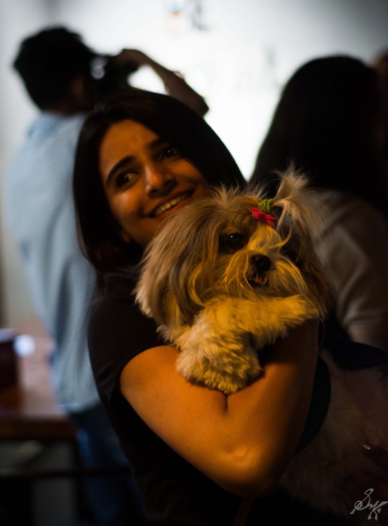 Shih Tzu, Cute, Fluffy, Owner