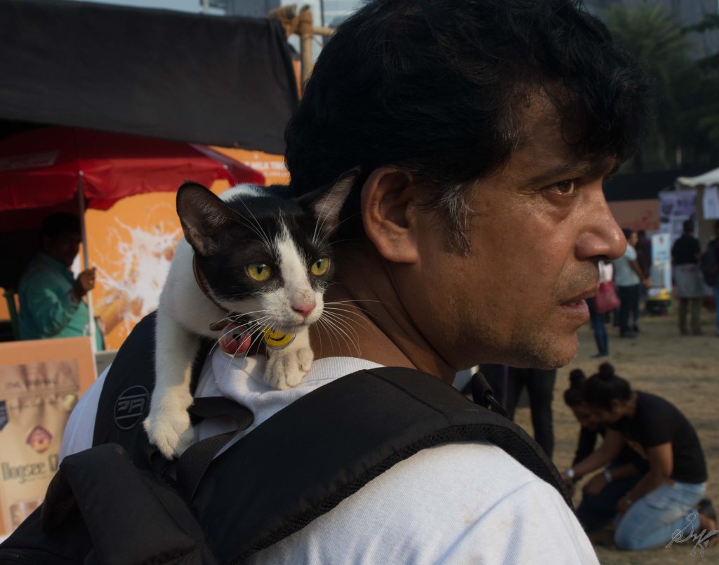 This is how Nemo travelled around