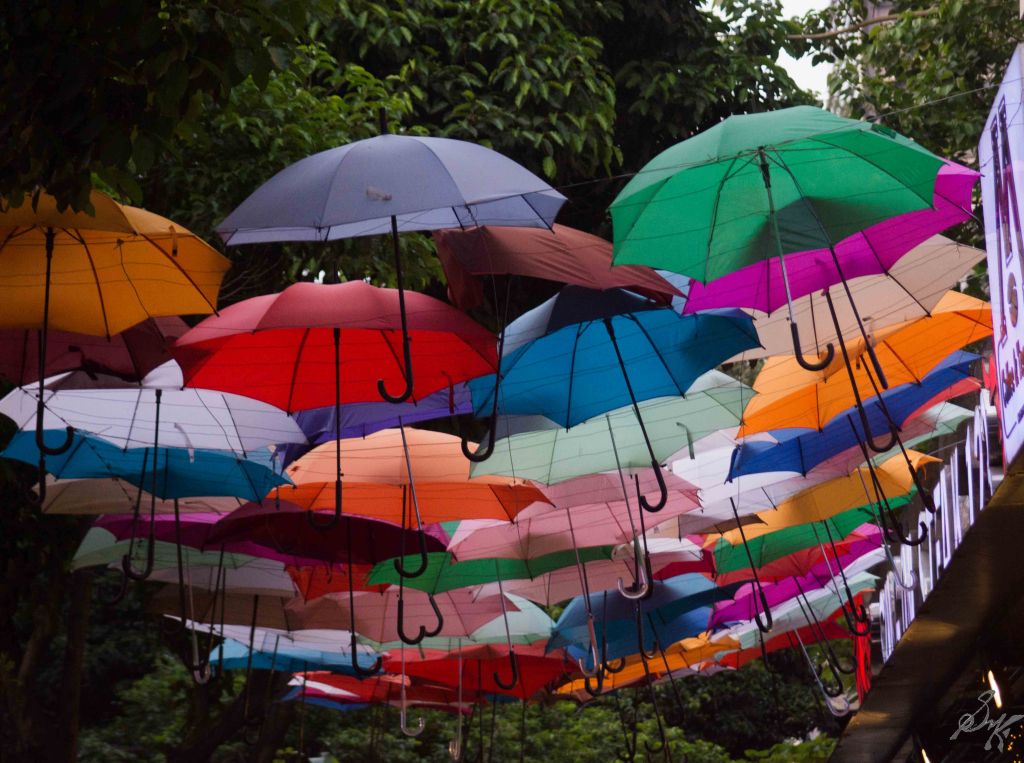 Umbrellas in a street in Ho Chi Minh City
