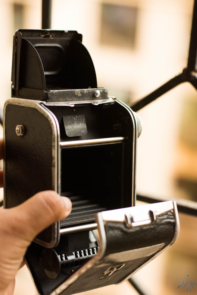 Back view of a TLR Camera, Mumbai, India