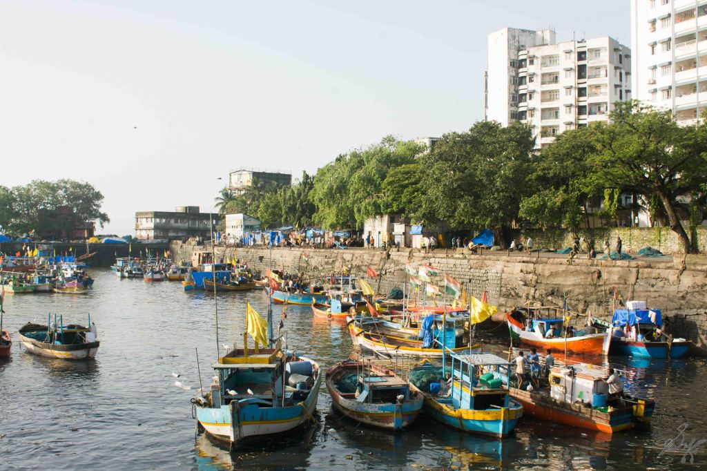 Fishing Trawlers in the dock, Sassoon Docks, Mumbai, India