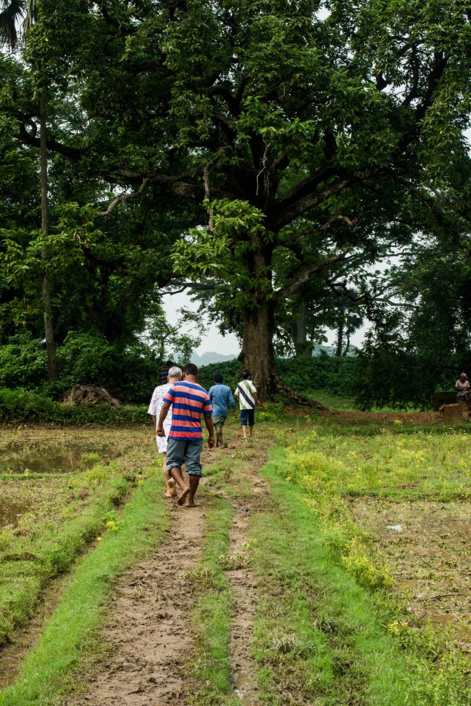 My father and uncles on the way to a field inspection